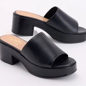LIKE NEW Seychelles Black Leather Platform Mule Sandal